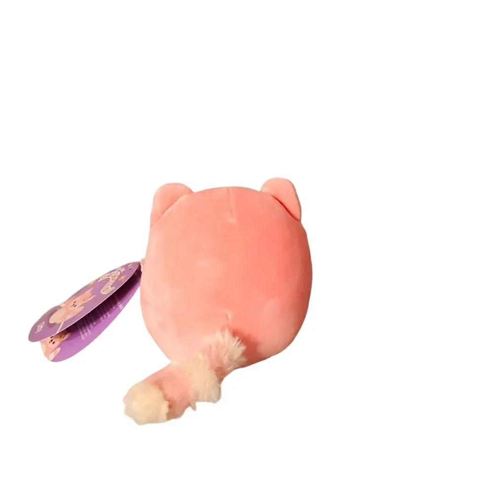 NWT Ditty 4